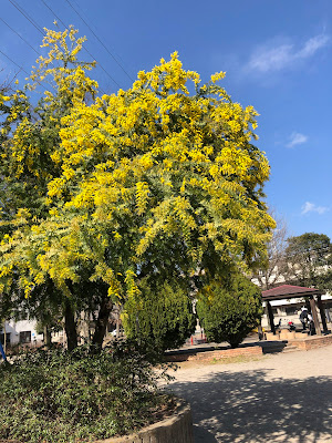 키타산야 공원 사진 4