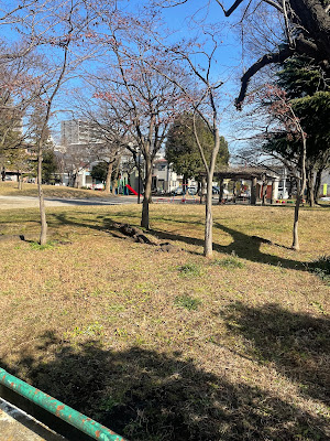 코우야 공원 사진 5