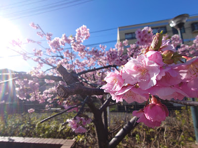 Midorino Park 사진 5