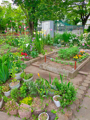 Hokima Park 사진 5