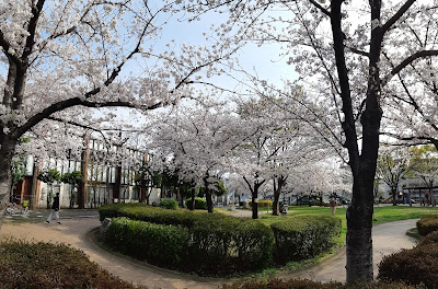 치쿠호쿠 공원 사진 5