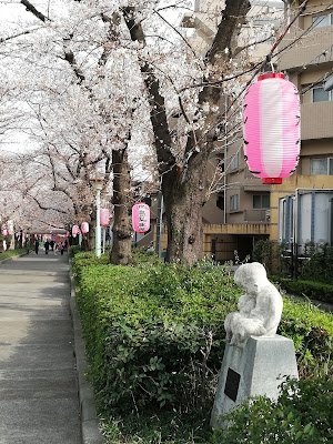 세세라기 공원 사진 5