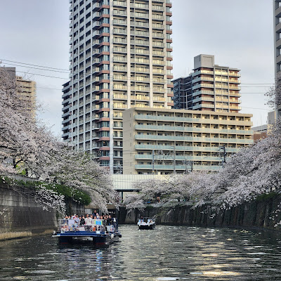 Meguro River Hanami Cruise 사진 5