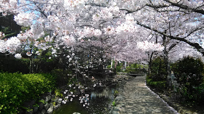 Ichinoesakaigawa Water Park 사진 5