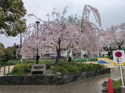 Wada Sakura-no-Saka Park 사진 5