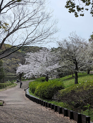 Kamoike Park 사진 5