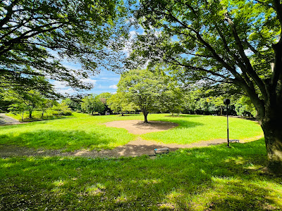 鴨池公園まんまる広場 사진 5
