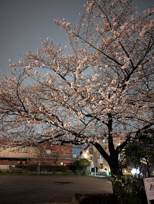 Kizukisumiyoshiminami Park 사진 5