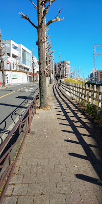 八幡坂 사진 5