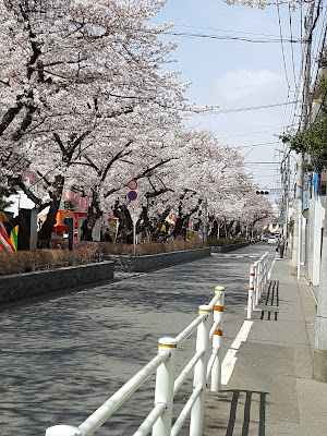 Sakuranamiki Park 사진 5