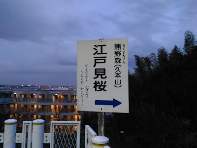 江戸見桜 사진 3
