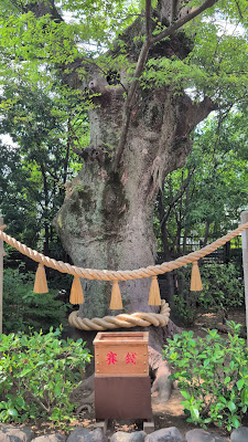 子楠（溝口神社） 사진 5
