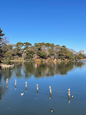 洗足池公園 사진 4