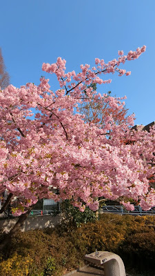 Yakumomachikado Park 사진 5