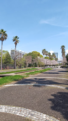Washingtonia Palms 사진 4
