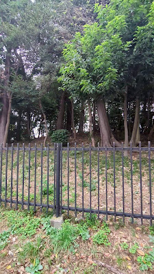 Kabutozuka Kofun 사진 5