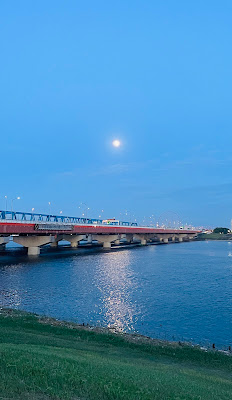 旧江戸川河口 사진 3