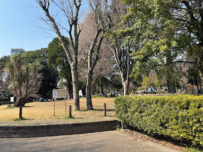 菅刈公園内しだれ桜(西郷従道曾孫一同寄贈) 사진 5