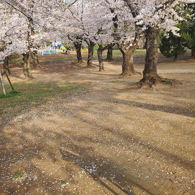 Urayasu Fuji 사진 5