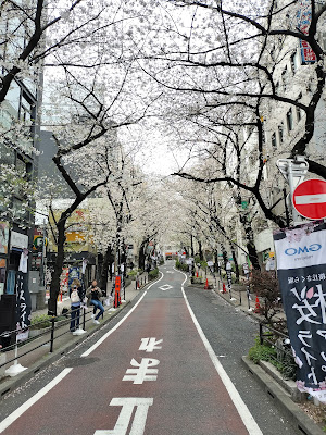 Sakurazaka (Shibuya) 사진 4