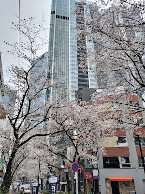 Sakurazaka (Shibuya) 사진 5