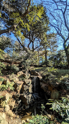Momiji Waterfall 사진 5