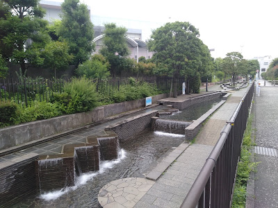 Jabu-Jabu Pond 사진 5