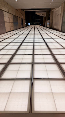 Light carpet 사진 4