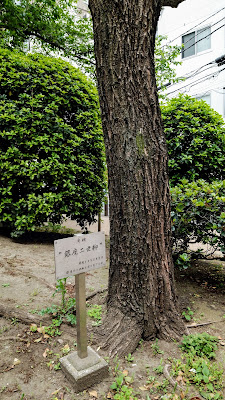 Ginza Nisei 사진 4