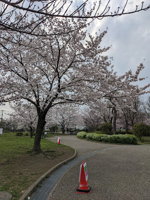 Sports Field 사진 5