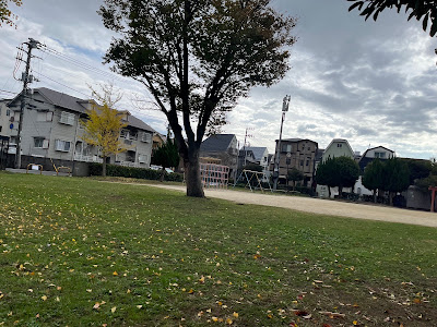 Kakemama Park 사진 5