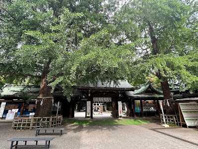 女銀杏（大宮八幡宮） 사진 5