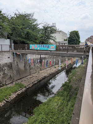善福寺川の鯉のぼり 사진 4
