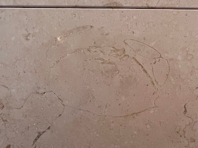 Crab Fossil at Tokyo Station 사진 5
