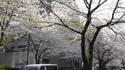 江戸桜通り 사진 4