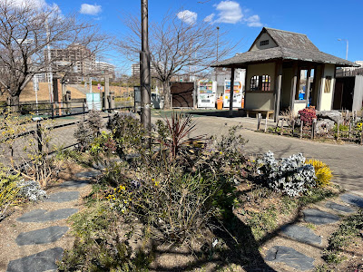 川の駅そよ風ガーデン（江東区コミュニティガーデン） 사진 5