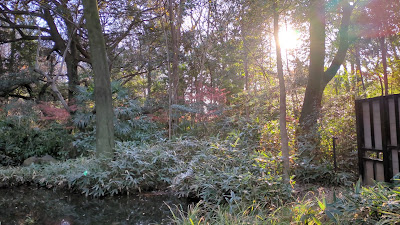 Kotori-no-mori Bird Sanctuary 사진 5