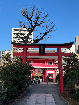 夫婦公孫樹(雌木) 사진 4