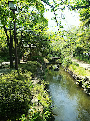 Ichinoe Sakaigawa Waterside Park 사진 5