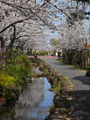 Shinodabori Water Green Road 사진 5