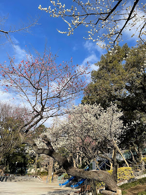 Edogawa Park 사진 5