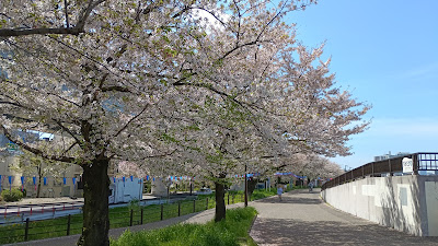 隅田川テラス周辺案内図 (桜橋) 사진 5
