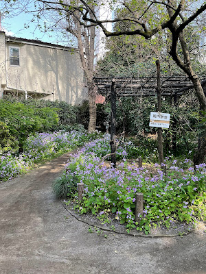 Ikebukuro no mori 사진 4