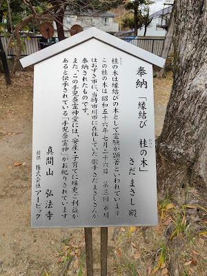 さだまさし植樹の木 사진 3