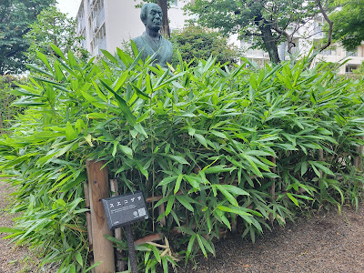 スエコザサ 사진 5