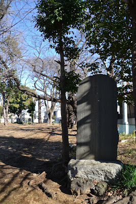 ねりまの名木 寿福寺のクスノキ 사진 5