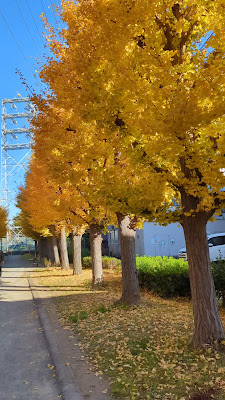 Nishikameari Seseragi Park 사진 5