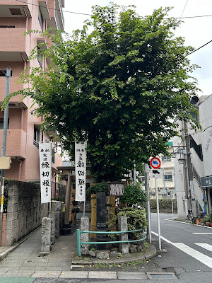 Enkiri Enoki 사진 4
