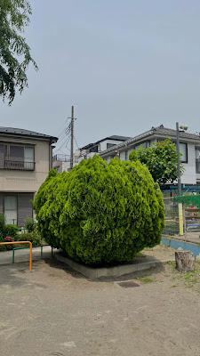 Chuohoncho Chibikko Park 사진 5