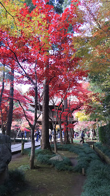 Forest of Suisokuken 사진 4